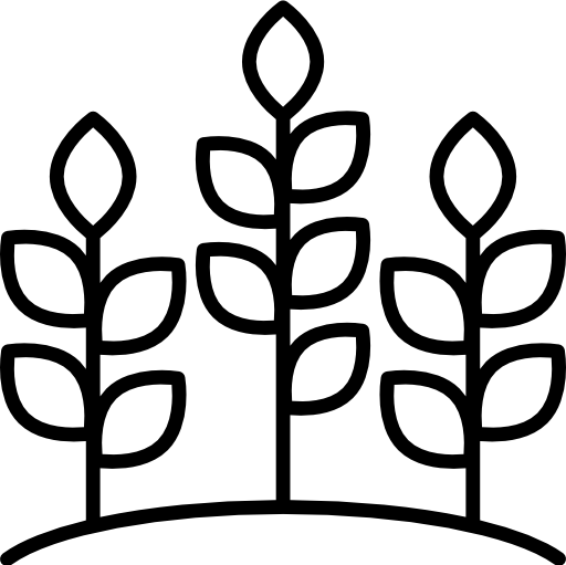 crop