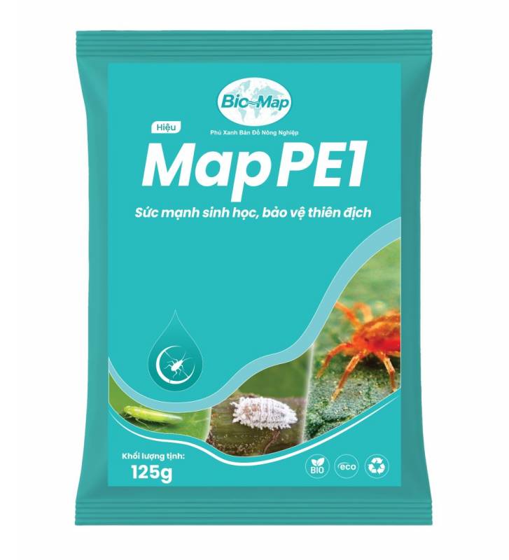 MAP PE1